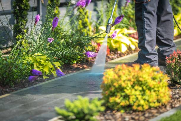 Best Sidewalk and Walkway Pressure Cleaning in Forreston, IL
