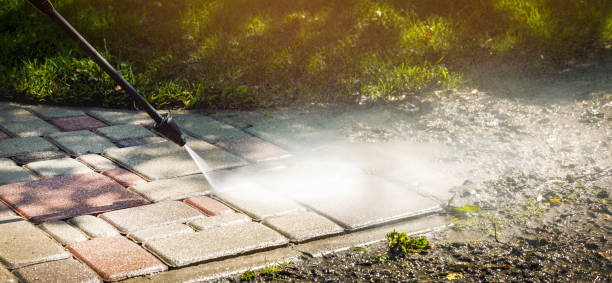 Best Driveway Cleaning and Restoration in Forreston, IL