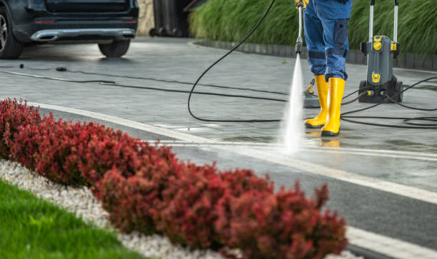 Best Deck and Patio Pressure Washing in Forreston, IL