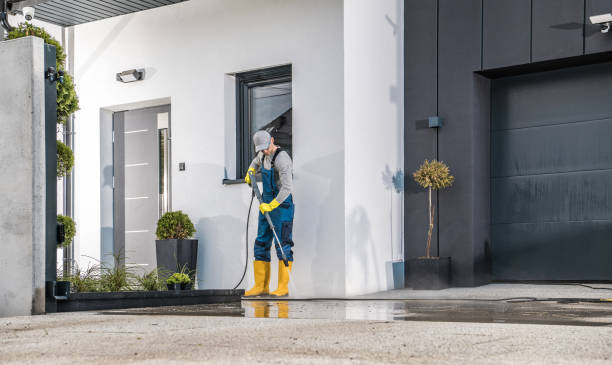 Best Roof Cleaning and Mildew Removal in Forreston, IL