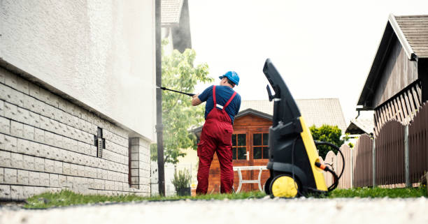 Best Graffiti Removal Services in Forreston, IL